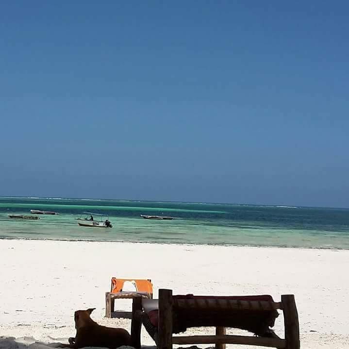 Sipano Beach Lodge Кивенга Екстериор снимка