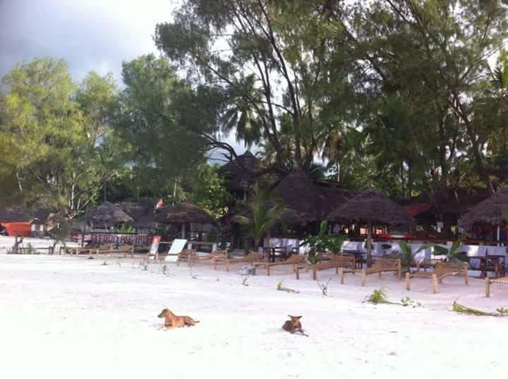 Sipano Beach Lodge Кивенга Екстериор снимка