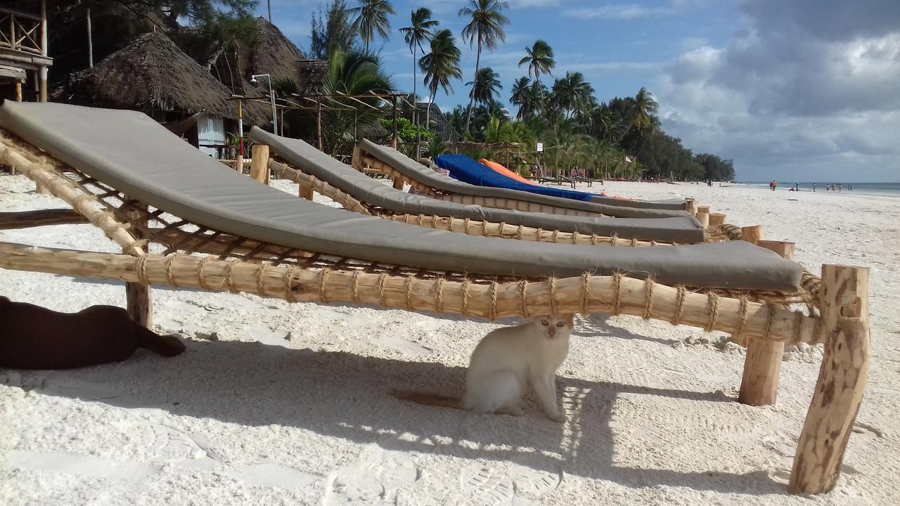 Sipano Beach Lodge Кивенга Екстериор снимка